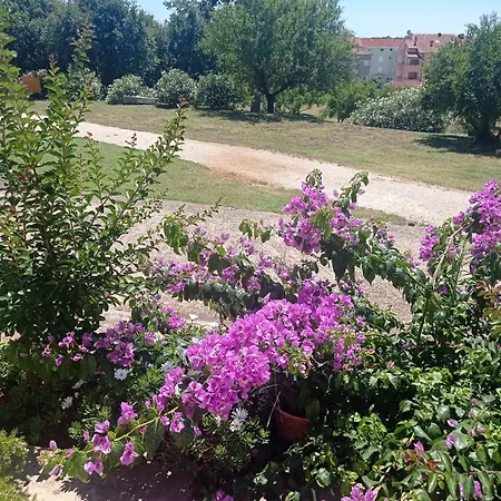Antonia Apartment
